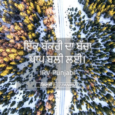 Picture 05 - ਗਿਣਤੀ 7:22 PANIRV - ਇੱਕ ਬੱਕਰੀ ਦਾ ਬੱਚਾ - Bible Verse Picture
