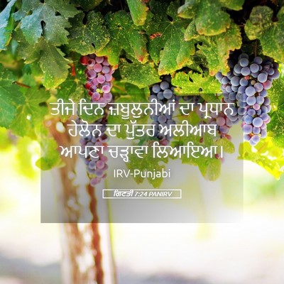 Picture 05 - ਗਿਣਤੀ 7:24 PANIRV - ਤੀਜੇ ਦਿਨ - Bible Verse Picture