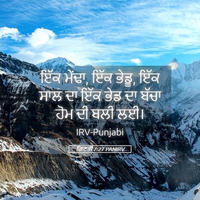 Picture 05 - ਗਿਣਤੀ 7:27 PANIRV - ਇੱਕ ਮੇਂਢਾ, ਇੱਕ - Bible Verse Picture