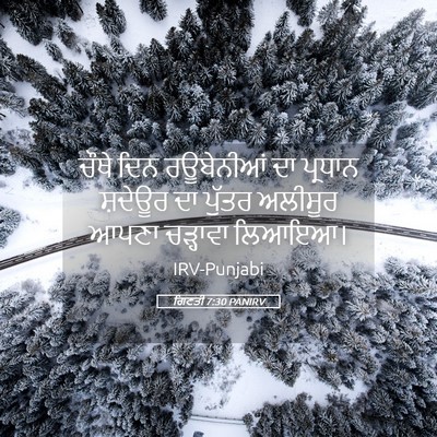 Picture 05 - ਗਿਣਤੀ 7:30 PANIRV - ਚੌਥੇ ਦਿਨ ਰਊਬੇਨੀਆਂ - Bible Verse Picture