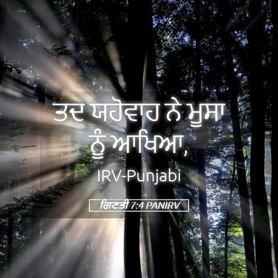 Picture 05 - ਗਿਣਤੀ 7:4 PANIRV - ਤਦ ਯਹੋਵਾਹ ਨੇ ਮੂਸਾ - Bible Verse Picture