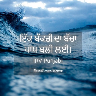 Picture 05 - ਗਿਣਤੀ 7:40 PANIRV - ਇੱਕ ਬੱਕਰੀ ਦਾ ਬੱਚਾ - Bible Verse Picture