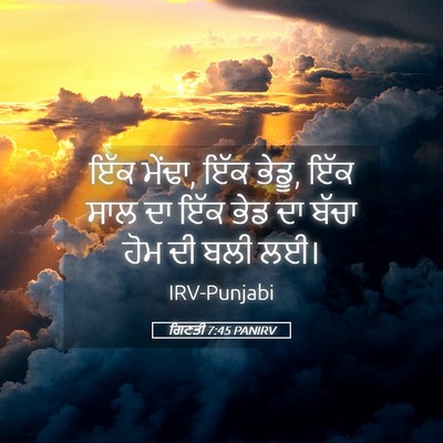 Picture 05 - ਗਿਣਤੀ 7:45 PANIRV - ਇੱਕ ਮੇਂਢਾ, ਇੱਕ - Bible Verse Picture