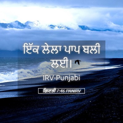 Picture 05 - ਗਿਣਤੀ 7:46 PANIRV - ਇੱਕ ਲੇਲਾ ਪਾਪ ਬਲੀ - Bible Verse Picture