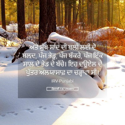 Picture 05 - ਗਿਣਤੀ 7:47 PANIRV - ਅਤੇ ਸੁੱਖ-ਸਾਂਦ ਦੀ - Bible Verse Picture