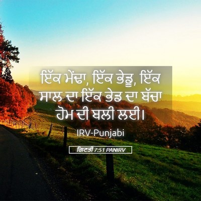 Picture 05 - ਗਿਣਤੀ 7:51 PANIRV - ਇੱਕ ਮੇਂਢਾ, ਇੱਕ - Bible Verse Picture