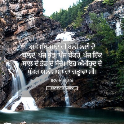 Picture 05 - ਗਿਣਤੀ 7:53 PANIRV - ਅਤੇ ਸੁੱਖ-ਸਾਂਦ ਦੀ - Bible Verse Picture