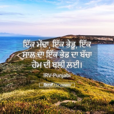Picture 05 - ਗਿਣਤੀ 7:57 PANIRV - ਇੱਕ ਮੇਂਢਾ, ਇੱਕ - Bible Verse Picture