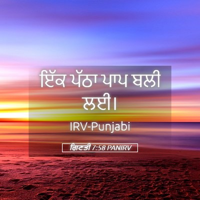 Picture 05 - ਗਿਣਤੀ 7:58 PANIRV - ਇੱਕ ਪੱਠਾ ਪਾਪ ਬਲੀ - Bible Verse Picture