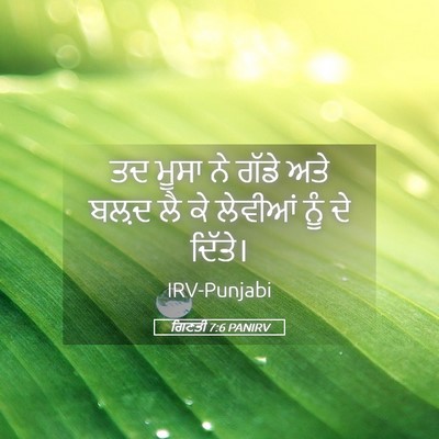 Picture 05 - ਗਿਣਤੀ 7:6 PANIRV - ਤਦ ਮੂਸਾ ਨੇ ਗੱਡੇ ਅਤੇ - Bible Verse Picture