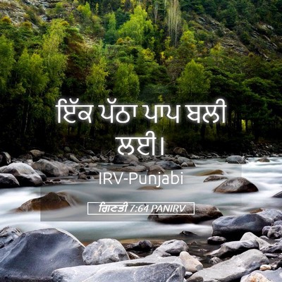 Picture 05 - ਗਿਣਤੀ 7:64 PANIRV - ਇੱਕ ਪੱਠਾ ਪਾਪ ਬਲੀ - Bible Verse Picture
