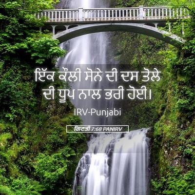 Picture 05 - ਗਿਣਤੀ 7:68 PANIRV - ਇੱਕ ਕੌਲੀ ਸੋਨੇ ਦੀ ਦਸ - Bible Verse Picture
