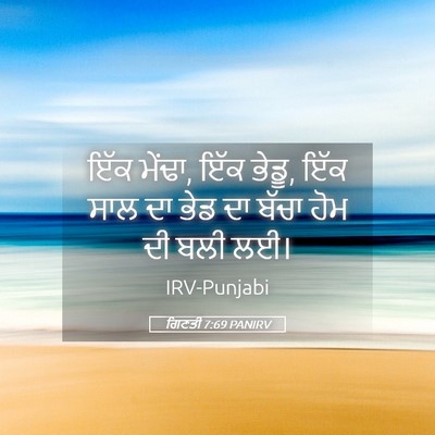 Picture 05 - ਗਿਣਤੀ 7:69 PANIRV - ਇੱਕ ਮੇਂਢਾ, ਇੱਕ - Bible Verse Picture