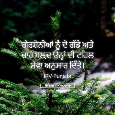 Picture 05 - ਗਿਣਤੀ 7:7 PANIRV - ਗੇਰਸ਼ੋਨੀਆਂ ਨੂੰ ਦੋ - Bible Verse Picture