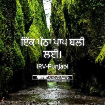 Picture 05 - ਗਿਣਤੀ 7:70 PANIRV - ਇੱਕ ਪੱਠਾ ਪਾਪ ਬਲੀ - Bible Verse Picture
