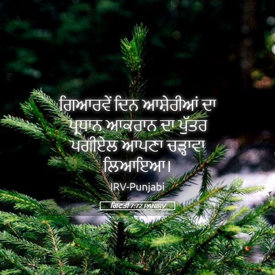Picture 05 - ਗਿਣਤੀ 7:72 PANIRV - ਗਿਆਰਵੇਂ ਦਿਨ - Bible Verse Picture