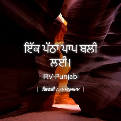 Picture 05 - ਗਿਣਤੀ 7:76 PANIRV - ਇੱਕ ਪੱਠਾ ਪਾਪ ਬਲੀ - Bible Verse Picture