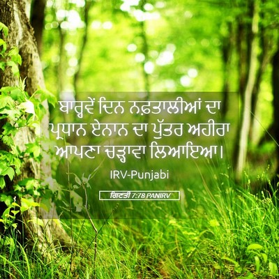 Picture 05 - ਗਿਣਤੀ 7:78 PANIRV - ਬਾਰ੍ਹਵੇਂ ਦਿਨ - Bible Verse Picture