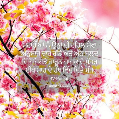 Picture 05 - ਗਿਣਤੀ 7:8 PANIRV - ਮਰਾਰੀਆਂ ਨੂੰ - Bible Verse Picture