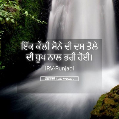 Picture 05 - ਗਿਣਤੀ 7:80 PANIRV - ਇੱਕ ਕੌਲੀ ਸੋਨੇ ਦੀ ਦਸ - Bible Verse Picture