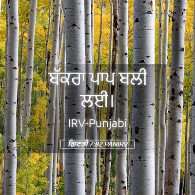 Picture 05 - ਗਿਣਤੀ 7:82 PANIRV - ਬੱਕਰਾ ਪਾਪ ਬਲੀ - Bible Verse Picture