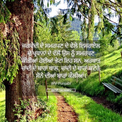 Picture 05 - ਗਿਣਤੀ 7:84 PANIRV - ਜਗਵੇਦੀ ਦੇ ਸਮਰਪਣ ਦੇ - Bible Verse Picture