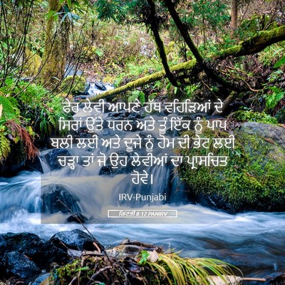 Picture 05 - ਗਿਣਤੀ 8:12 PANIRV - ਫੇਰ ਲੇਵੀ ਆਪਣੇ ਹੱਥ - Bible Verse Picture