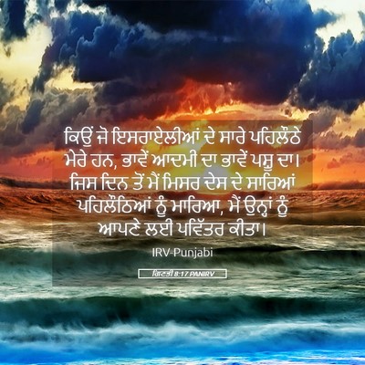 Picture 05 - ਗਿਣਤੀ 8:17 PANIRV - ਕਿਉਂ ਜੋ ਇਸਰਾਏਲੀਆਂ - Bible Verse Picture
