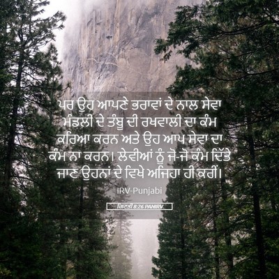 Picture 05 - ਗਿਣਤੀ 8:26 PANIRV - ਪਰ ਉਹ ਆਪਣੇ ਭਰਾਵਾਂ - Bible Verse Picture