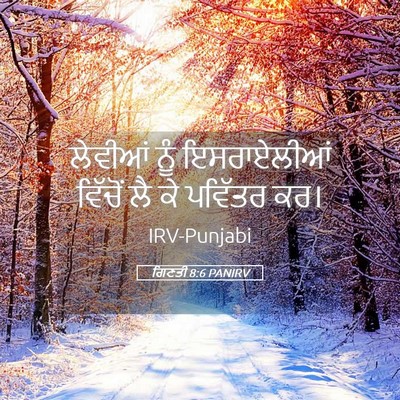 Picture 05 - ਗਿਣਤੀ 8:6 PANIRV - ਲੇਵੀਆਂ ਨੂੰ - Bible Verse Picture