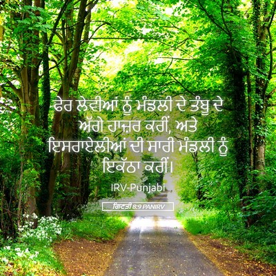 Picture 05 - ਗਿਣਤੀ 8:9 PANIRV - ਫੇਰ ਲੇਵੀਆਂ ਨੂੰ - Bible Verse Picture