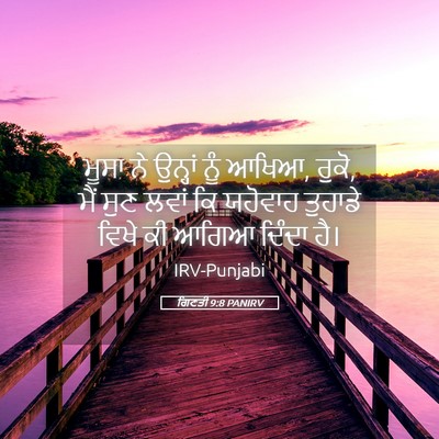Picture 05 - ਗਿਣਤੀ 9:8 PANIRV - ਮੂਸਾ ਨੇ ਉਨ੍ਹਾਂ ਨੂੰ - Bible Verse Picture