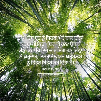 Picture 05 - ਜ਼ਕਰਯਾਹ 1:19 PANIRV - ਤਾਂ ਮੈਂ ਉਸ ਦੂਤ ਨੂੰ - Bible Verse Picture