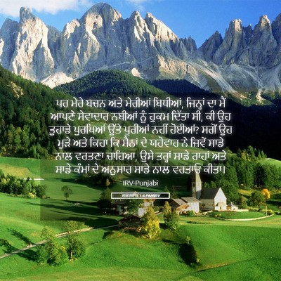 Picture 05 - ਜ਼ਕਰਯਾਹ 1:6 PANIRV - ਪਰ ਮੇਰੇ ਬਚਨ ਅਤੇ - Bible Verse Picture