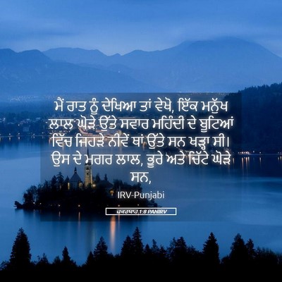 Picture 05 - ਜ਼ਕਰਯਾਹ 1:8 PANIRV - ਮੈਂ ਰਾਤ ਨੂੰ ਦੇਖਿਆ - Bible Verse Picture