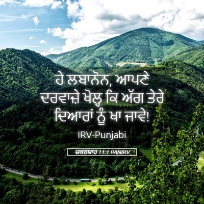 Picture 05 - ਜ਼ਕਰਯਾਹ 11:1 PANIRV - ਹੇ ਲਬਾਨੋਨ, ਆਪਣੇ - Bible Verse Picture