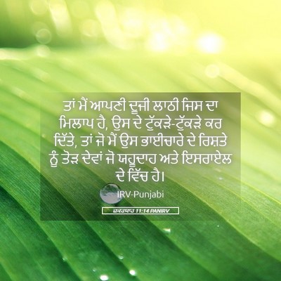 Picture 05 - ਜ਼ਕਰਯਾਹ 11:14 PANIRV - ਤਾਂ ਮੈਂ ਆਪਣੀ ਦੂਜੀ - Bible Verse Picture
