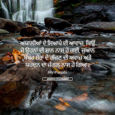 Picture 05 - ਜ਼ਕਰਯਾਹ 11:3 PANIRV - ਅਯਾਲੀਆਂ ਦੇ ਸਿਆਪੇ - Bible Verse Picture