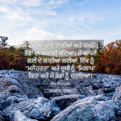 Picture 05 - ਜ਼ਕਰਯਾਹ 11:7 PANIRV - ਮੈਂ ਵੱਢੀਆਂ ਜਾਣ - Bible Verse Picture