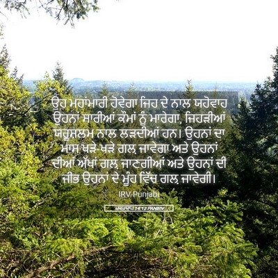 Picture 05 - ਜ਼ਕਰਯਾਹ 14:12 PANIRV - ਉਹ ਮਹਾਂਮਾਰੀ - Bible Verse Picture