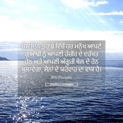 Picture 05 - ਜ਼ਕਰਯਾਹ 3:10 PANIRV - ਉਸ ਦਿਨ ਤੁਹਾਡੇ - Bible Verse Picture
