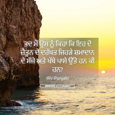 Picture 05 - ਜ਼ਕਰਯਾਹ 4:11 PANIRV - ਤਦ ਮੈਂ ਉਸ ਨੂੰ ਕਿਹਾ - Bible Verse Picture