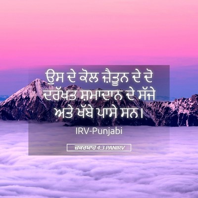 Picture 05 - ਜ਼ਕਰਯਾਹ 4:3 PANIRV - ਉਸ ਦੇ ਕੋਲ ਜ਼ੈਤੂਨ ਦੇ - Bible Verse Picture