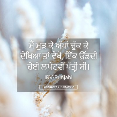 Picture 05 - ਜ਼ਕਰਯਾਹ 5:1 PANIRV - ਮੈਂ ਮੁੜ ਕੇ ਅੱਖਾਂ - Bible Verse Picture