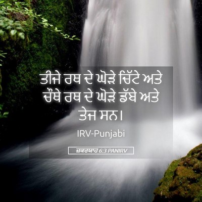 Picture 05 - ਜ਼ਕਰਯਾਹ 6:3 PANIRV - ਤੀਜੇ ਰਥ ਦੇ ਘੋੜੇ - Bible Verse Picture