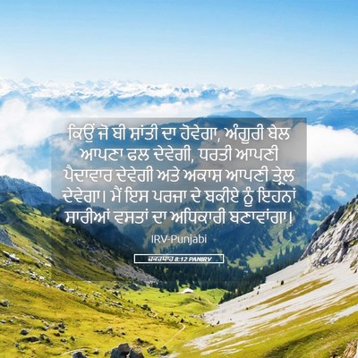 Picture 05 - ਜ਼ਕਰਯਾਹ 8:12 PANIRV - ਕਿਉਂ ਜੋ ਬੀ ਸ਼ਾਂਤੀ - Bible Verse Picture