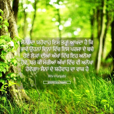 Picture 05 - ਜ਼ਕਰਯਾਹ 8:6 PANIRV - ਸੈਨਾਂ ਦਾ ਯਹੋਵਾਹ ਇਸ - Bible Verse Picture