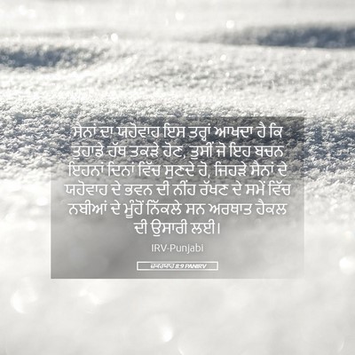 Picture 05 - ਜ਼ਕਰਯਾਹ 8:9 PANIRV - ਸੈਨਾਂ ਦਾ ਯਹੋਵਾਹ ਇਸ - Bible Verse Picture
