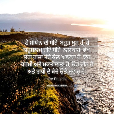 Picture 05 - ਜ਼ਕਰਯਾਹ 9:9 PANIRV - ਹੇ ਸੀਯੋਨ ਦੀ ਧੀਏ, - Bible Verse Picture