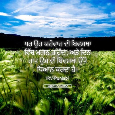 Picture 05 - ਜ਼ਬੂਰ 1:2 PANIRV - ਪਰ ਉਹ ਯਹੋਵਾਹ ਦੀ - Bible Verse Picture